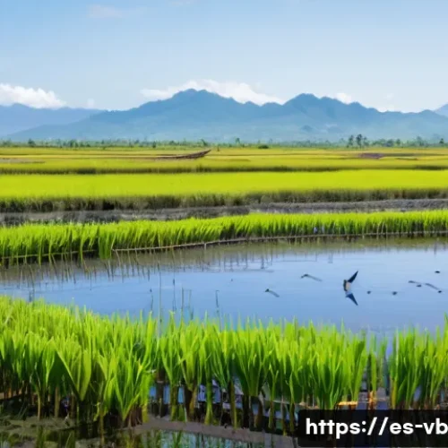 Home 28 기후 난민과 생태계 복원 - A vibrant coastal wetland restoration scene in Colombia featuring local artisanal fishermen working ...
